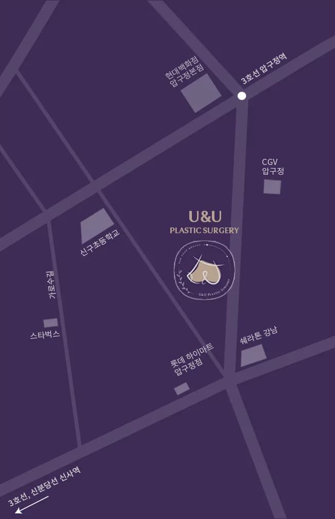 유앤유성형외과 위치 지도 — 서울 강남구 논현로 819 명광빌딩