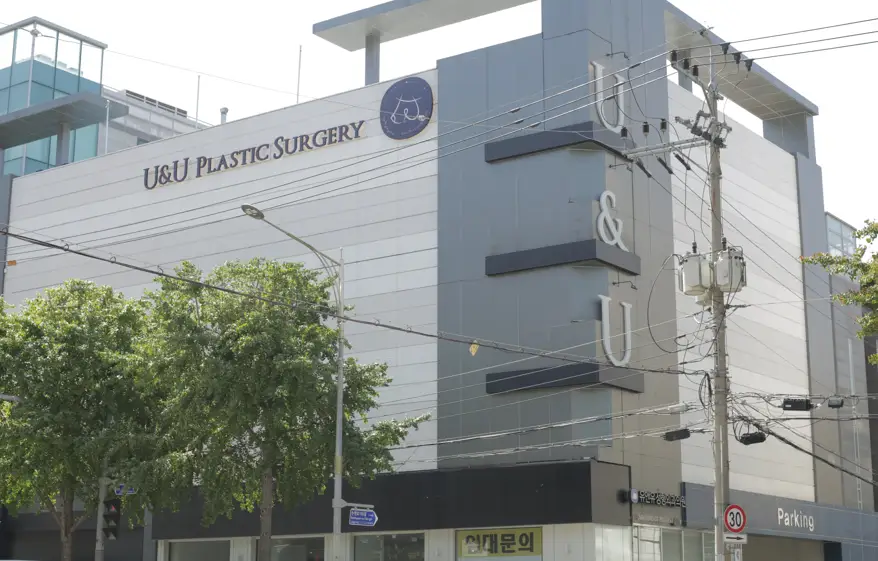 Operasi payudara dan menyusui? Panduan lengkap per prosedur: pembesaran, pengecilan, dan pengencangan 〈Saran dari klinik dengan dokter bedah payudara bersertifikat〉 — Gambar artikel 7