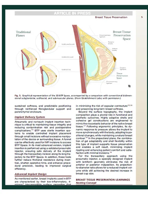 Bagian isi artikel Clinics in Plastic Surgery — ilustrasi 3D BTP Space